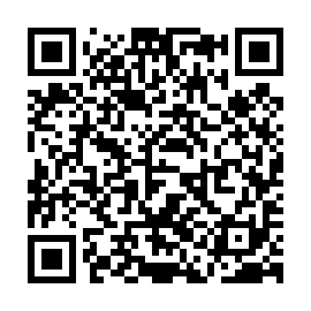QR code for QAG491