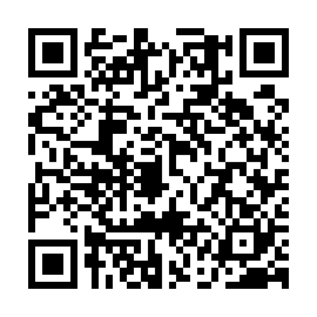 QR code for QAG5206