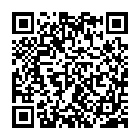 QR code for QCH317
