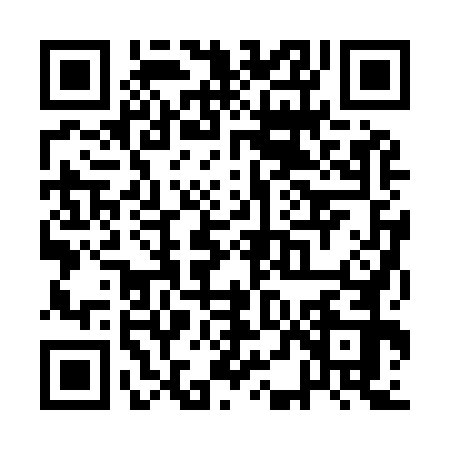 QR code for QDB9729