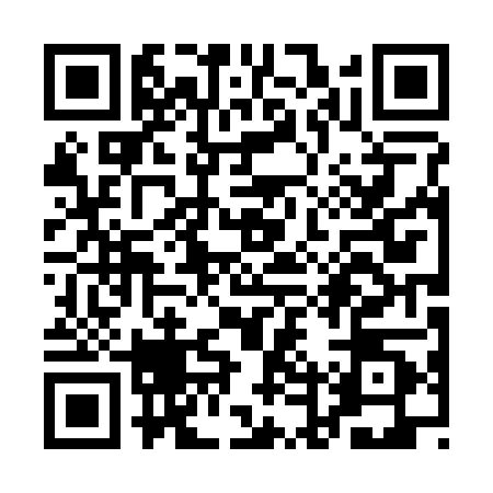 QR code for QDP2004
