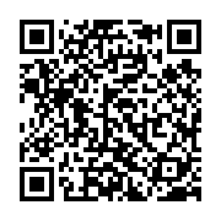 QR code for QDZ629