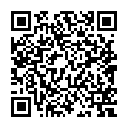 QR code for QFL1153