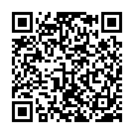 QR code for QFS333