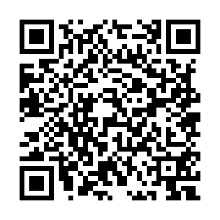QR code for QFZ9509