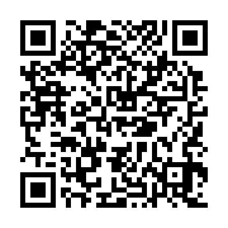 QR code for QHL333