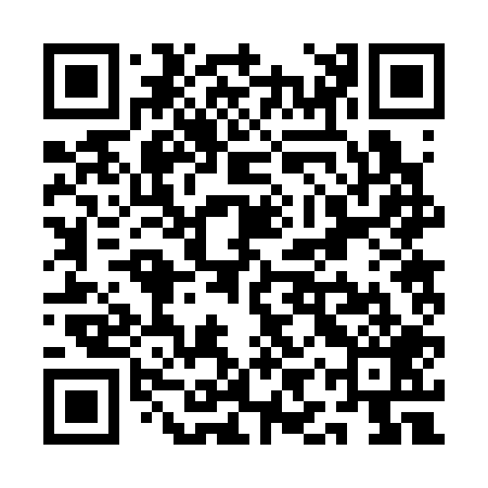 QR code for QIR309