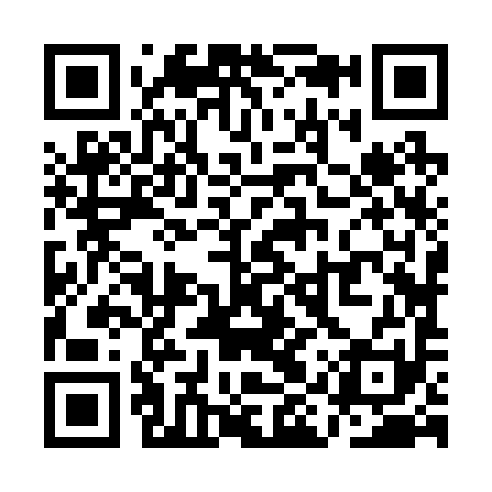 QR code for QIZ291