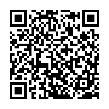 QR code for QIZ303