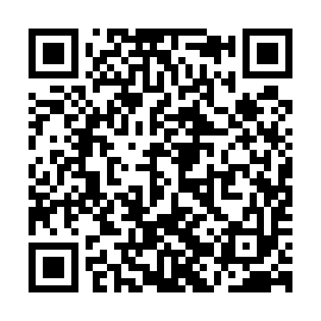 QR code for QJQ593