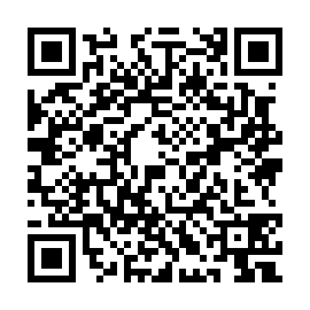 QR code for QLI0385