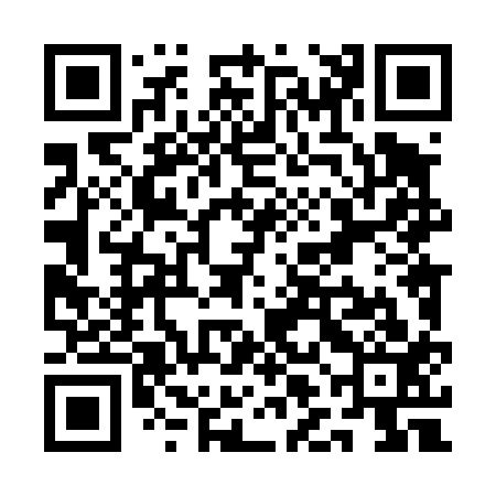 QR code for QLL413