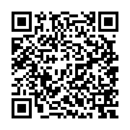 QR code for QMN0596