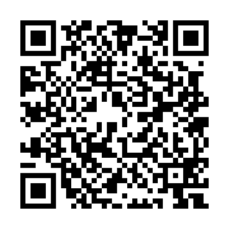 QR code for QNC0994