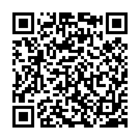 QR code for QNG413