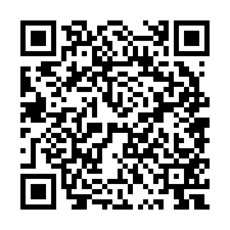 QR code for QPN2533