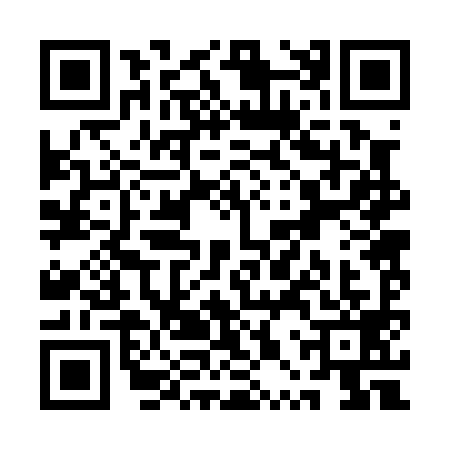 QR code for QPR0991