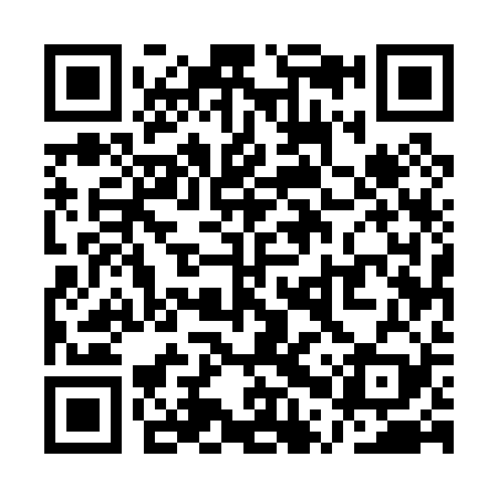 QR code for QPU029