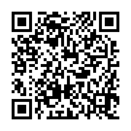 QR code for QQZ294