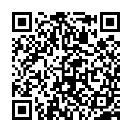 QR code for QSI541