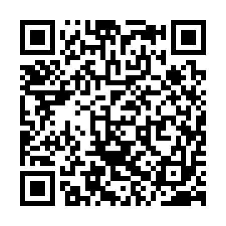 QR code for QXQ313