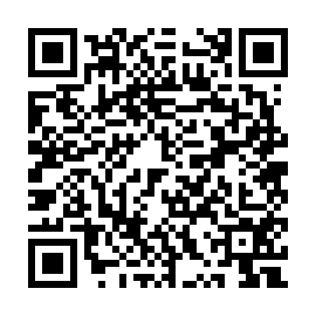 QR code for QXR6541