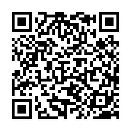 QR code for QYP271