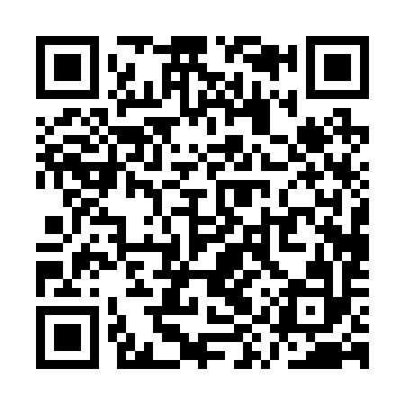 QR code for QYP292