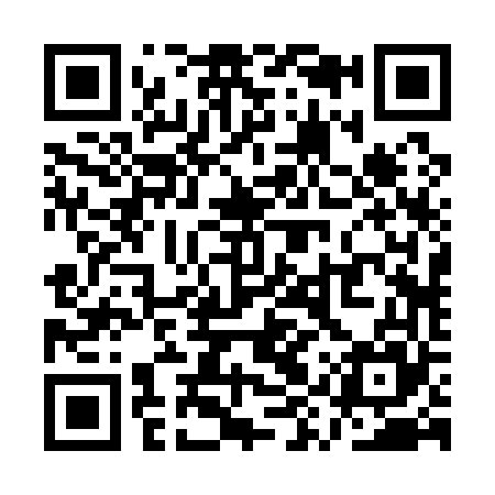 QR code for QYR165