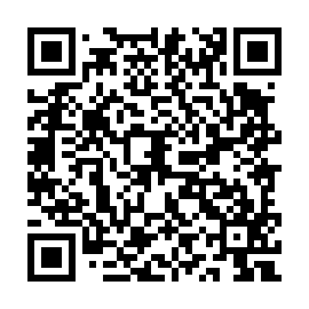 QR code for QYX497