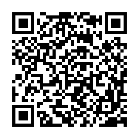 QR code for QYZ296