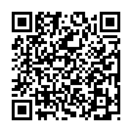 QR code for QZK0397