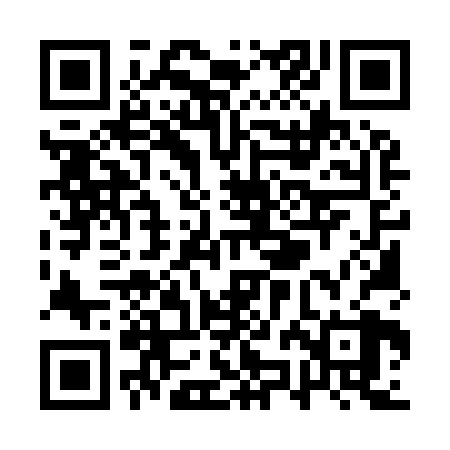 QR code for QZM928