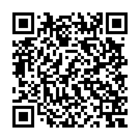 QR code for QZP063