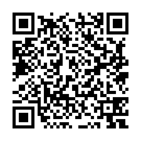 QR code for QZQ8380