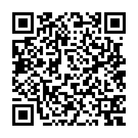 QR code for QZR0305