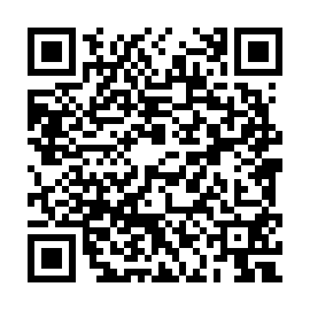 QR code for RAL6509