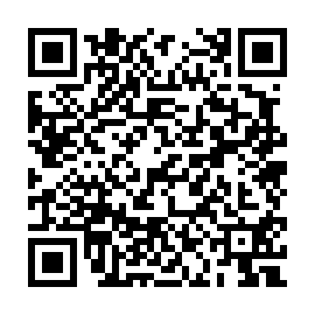 QR code for RAO4100