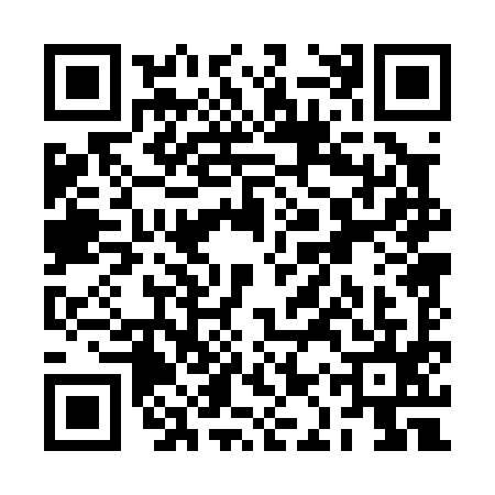 QR code for RAP0956