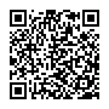 QR code for RAP875