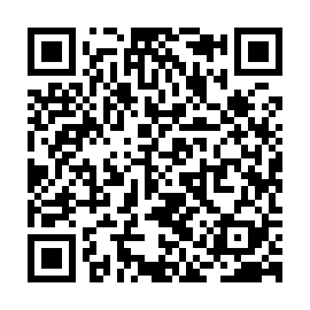 QR code for RAY929