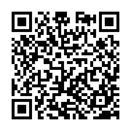 QR code for RFN384