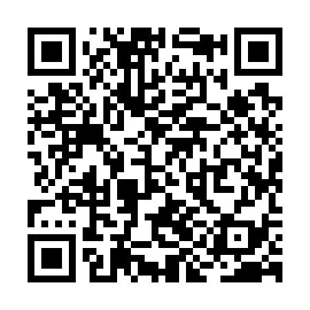 QR code for RII739