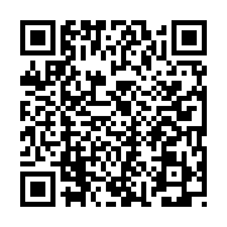 QR code for RII9991