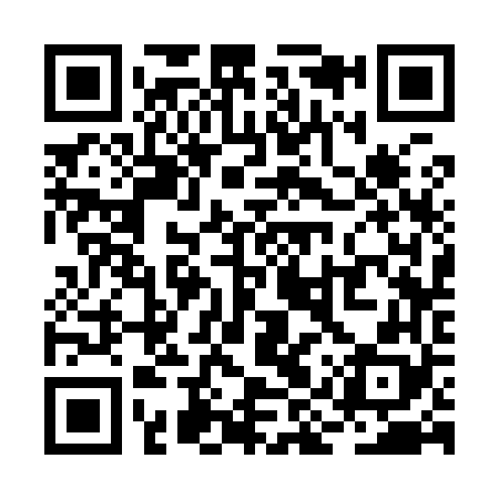 QR code for RIS968