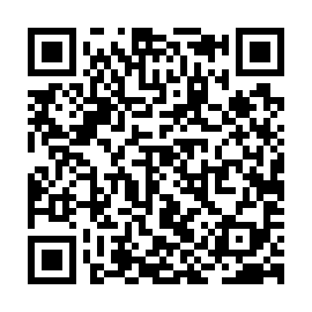 QR code for RIT799