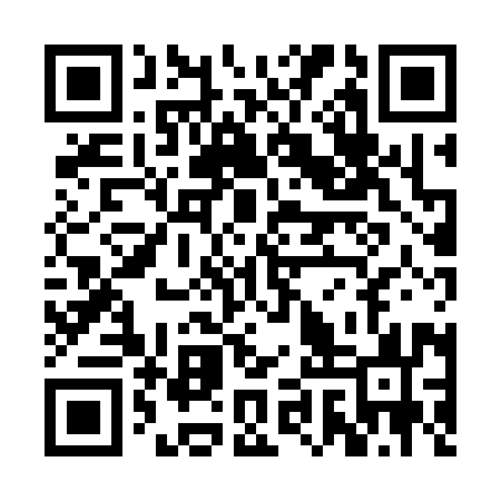 QR code for RIX393