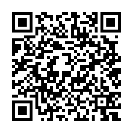 QR code for RKW0333