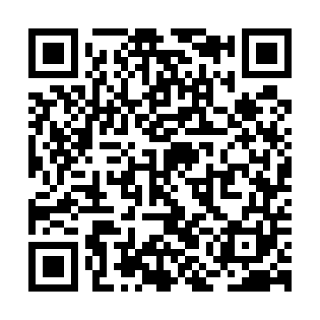 QR code for RMG541