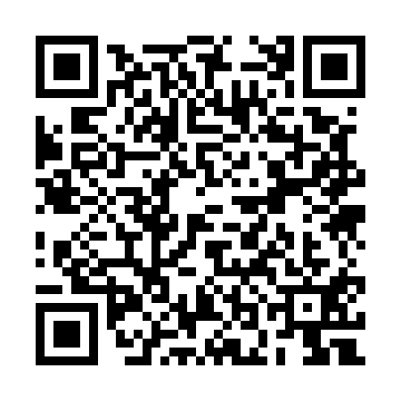 QR code for ROK5113